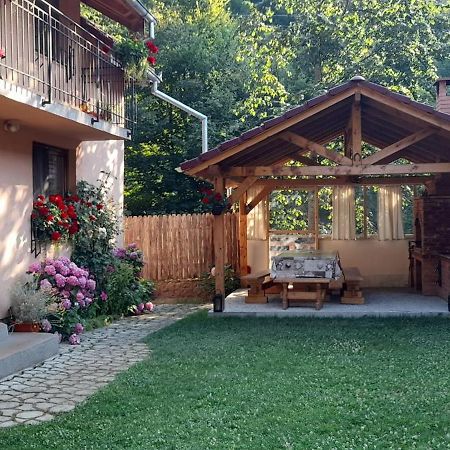 Casa Iulia & Matei Villa Cîrţişoara Eksteriør billede