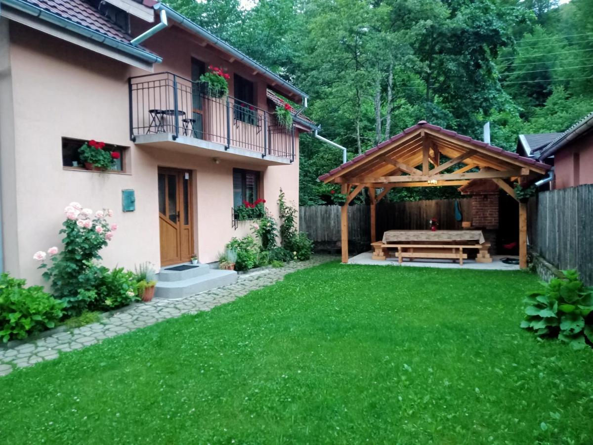 Casa Iulia & Matei Villa Cîrţişoara Eksteriør billede
