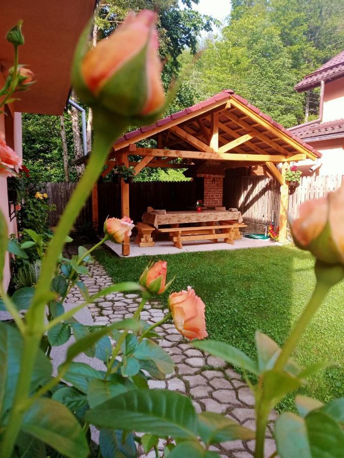 Casa Iulia & Matei Villa Cîrţişoara Eksteriør billede