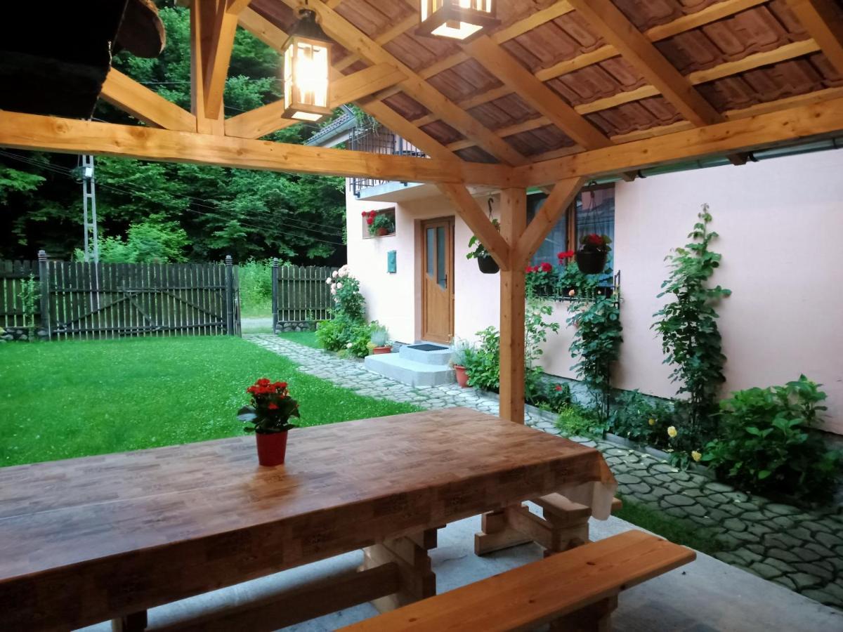 Casa Iulia & Matei Villa Cîrţişoara Eksteriør billede