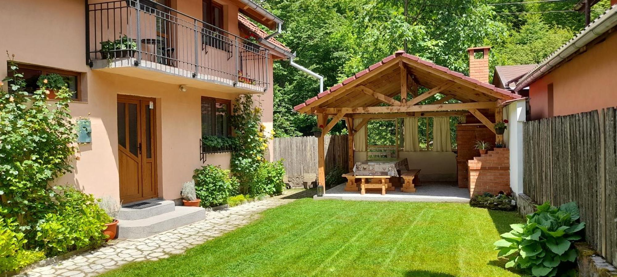 Casa Iulia & Matei Villa Cîrţişoara Eksteriør billede